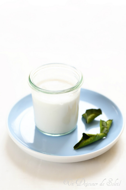 Tout savoir sur le lait de coco : utilisation, recettes, bonnes adresses  - Un déjeuner de soleil