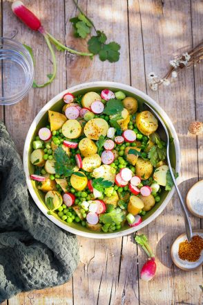 Salades pour barbecue : quinze idées recettes gourmandes et faciles