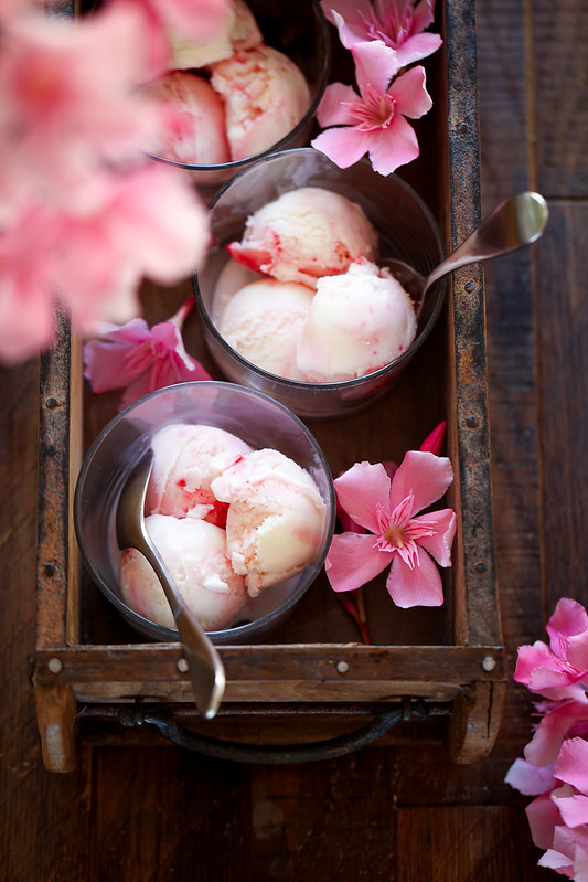 glace yaourt brebis framboise fleur oranger facile