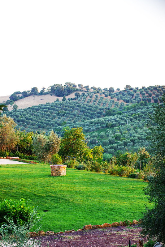 toscane collines paysage recettes ete