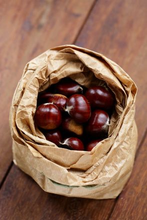 Châtaignes ou marrons : trente recettes salées ou sucrées